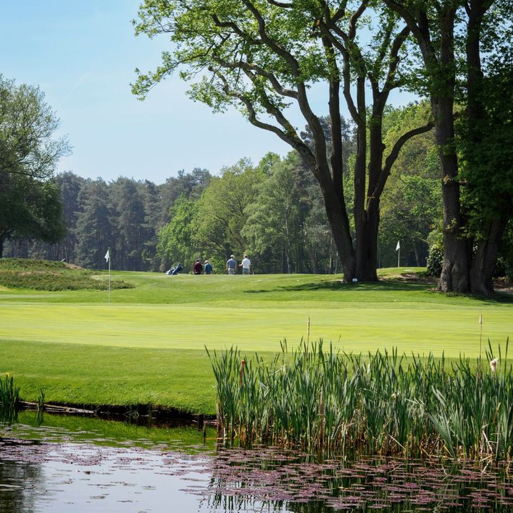 West surrey golf club