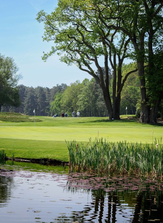 West surrey golf club