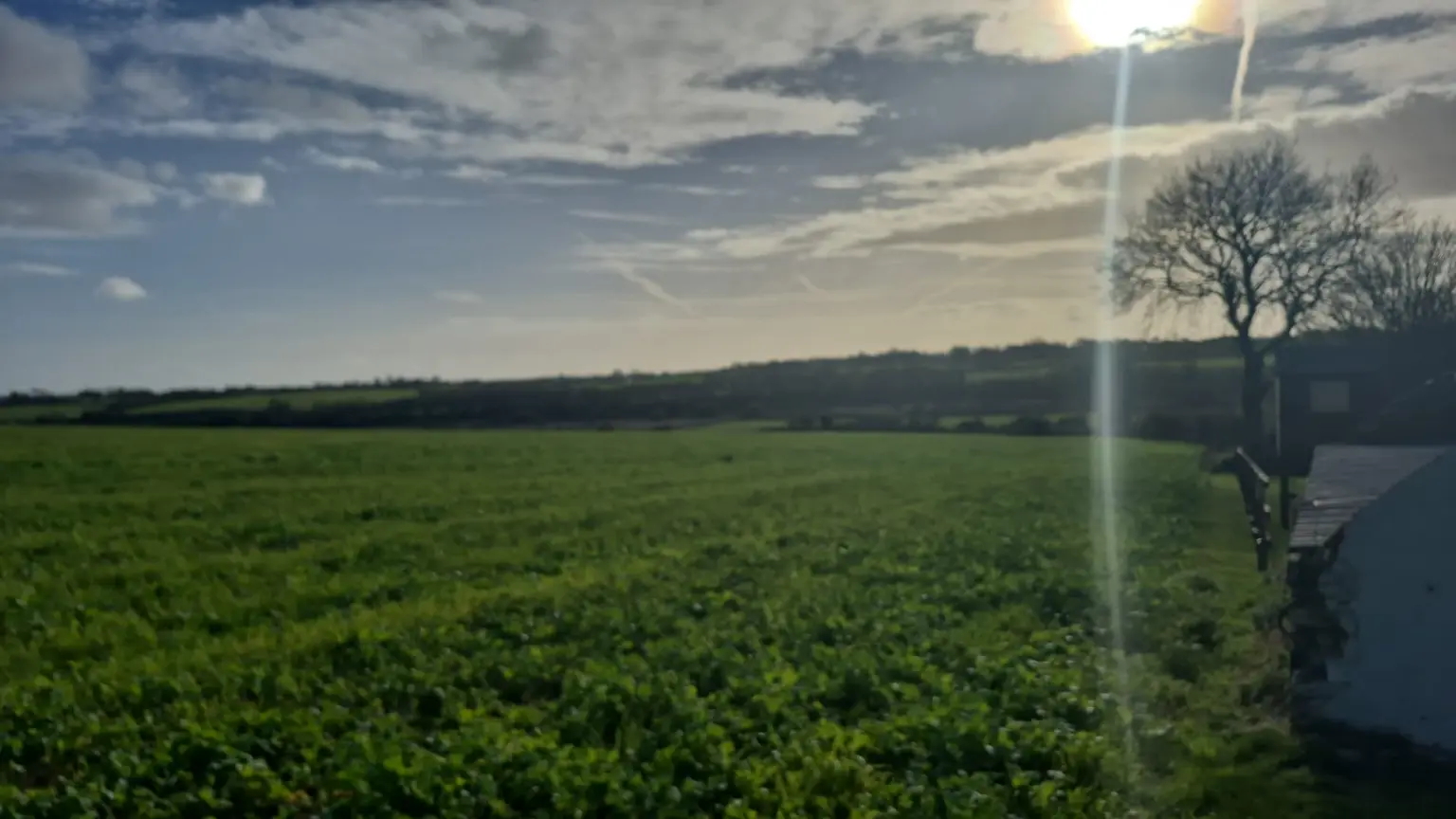 A sunlit rural landscape with a grassy field, a bare tree, and a partially cloudy sky. Sun rays create a flare effect across the image.
