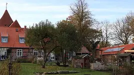 Velog News