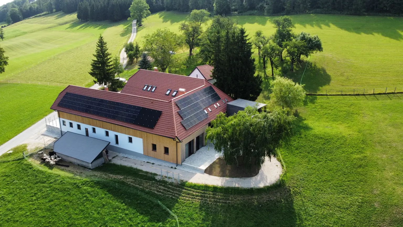 Rustic wooden farmhouse with rooftop solar panels, encircled by trees, sheep grazing in the foreground