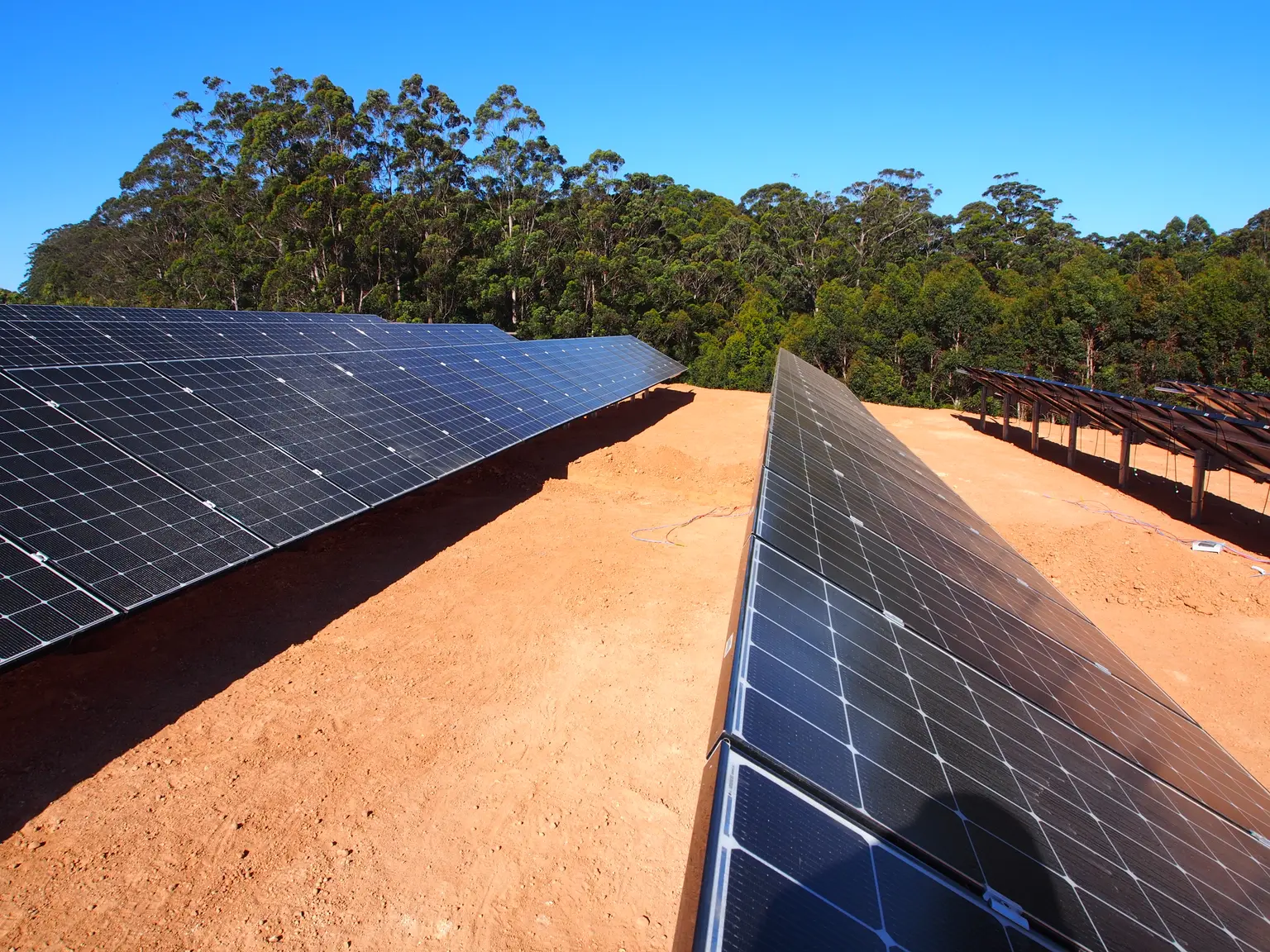 Rows of solar panels on a field with a backdrop of dense green trees under a clear blue sky.