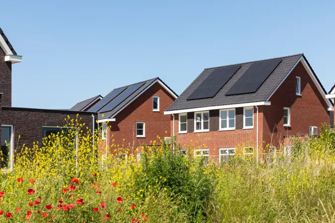 A neighborhood of single-family homes with PV systems, with many colorful flowers in the foreground