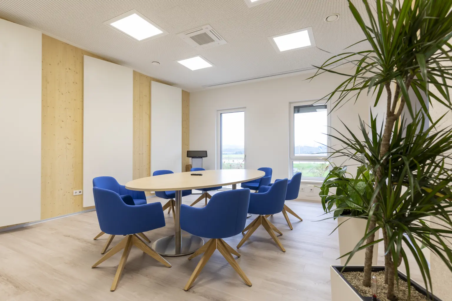 Bright meeting room with palm in foreground. A table is in the center, surrounded by blue chairs.