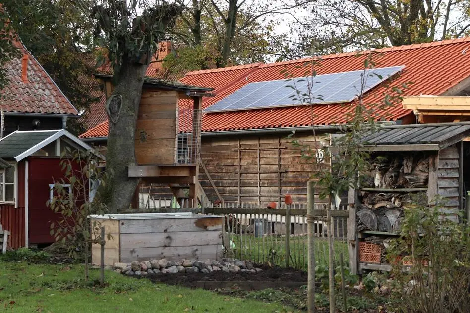 Rustic backyard with treehouse, red-roofed barn with solar panels, woodpile, and small garden area