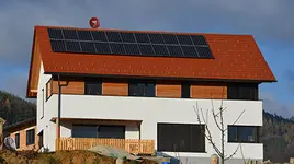 Velog News