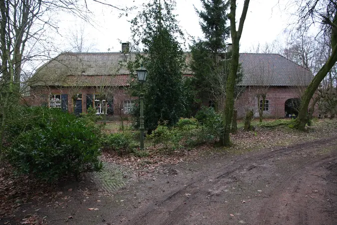 In a cool autumn setting stands an old brick house with shutters, trees in front, and a streetlamp.