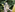Close-up of a woman checking her phone in the garden.