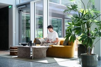 A man sitting on a mustard sofa in a modern, sunlit office space, working on a laptop. Large potted plants and a marble table decorate the area.
