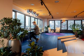 A person in a hat works on a laptop at a modern, plant-filled office with large windows and colorful seating.