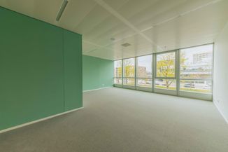 Empty office room with green walls, large windows, and gray carpeting. Outside, buildings and trees are visible in bright daylight.