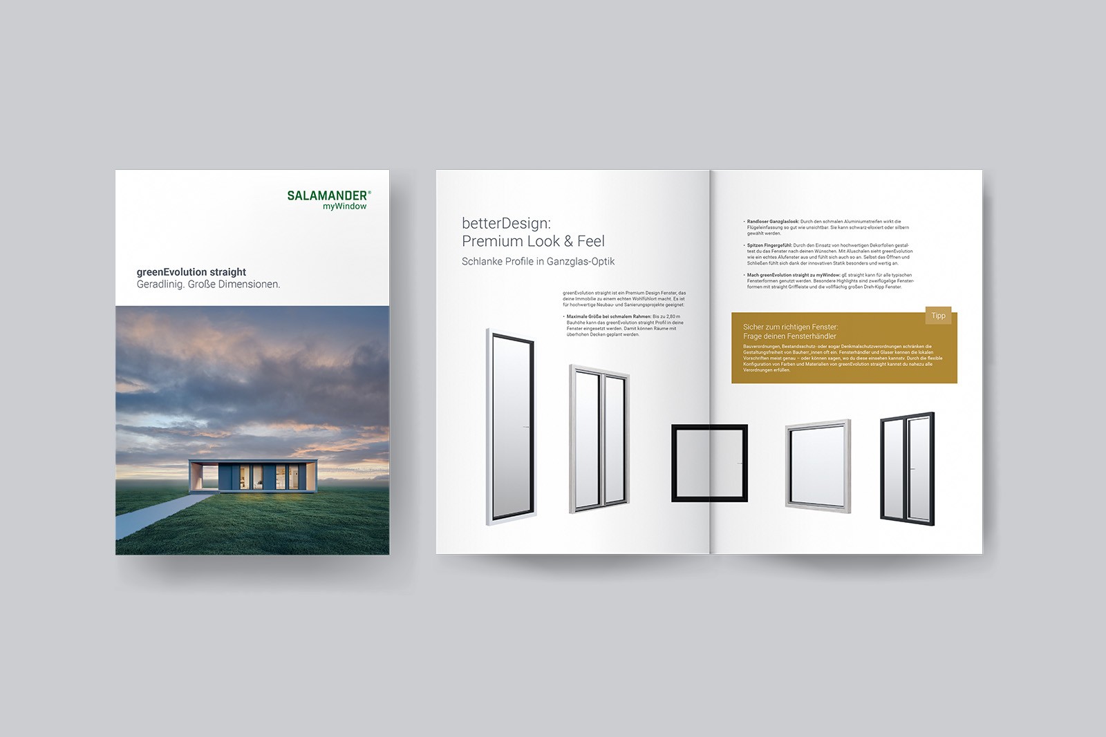 A brochure for Salamander's greenEvolution straight window system, showcasing a modern house with large windows and doors.
