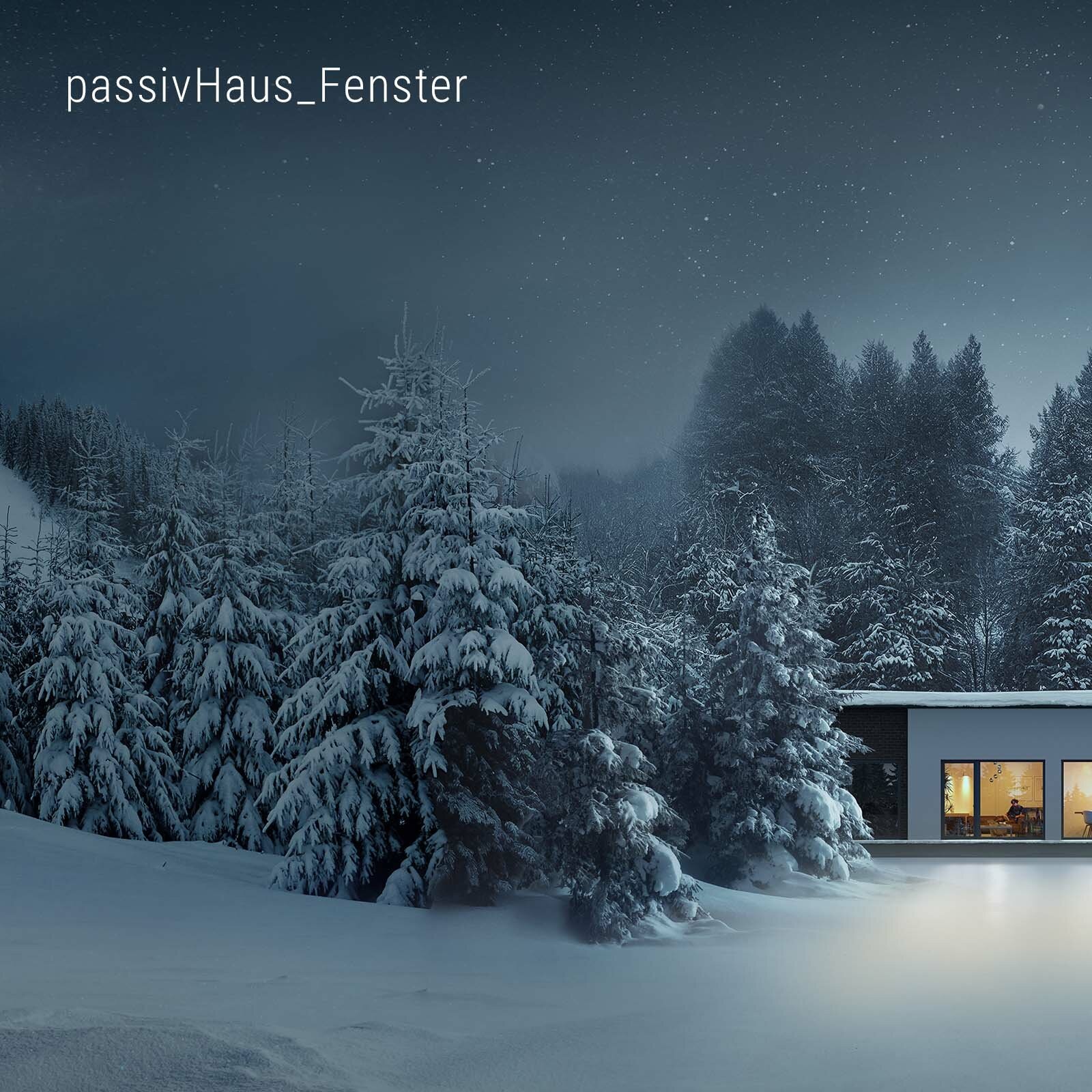 A modern house with glass windows and a flat roof is surrounded by snow-covered trees and a snowy landscape.