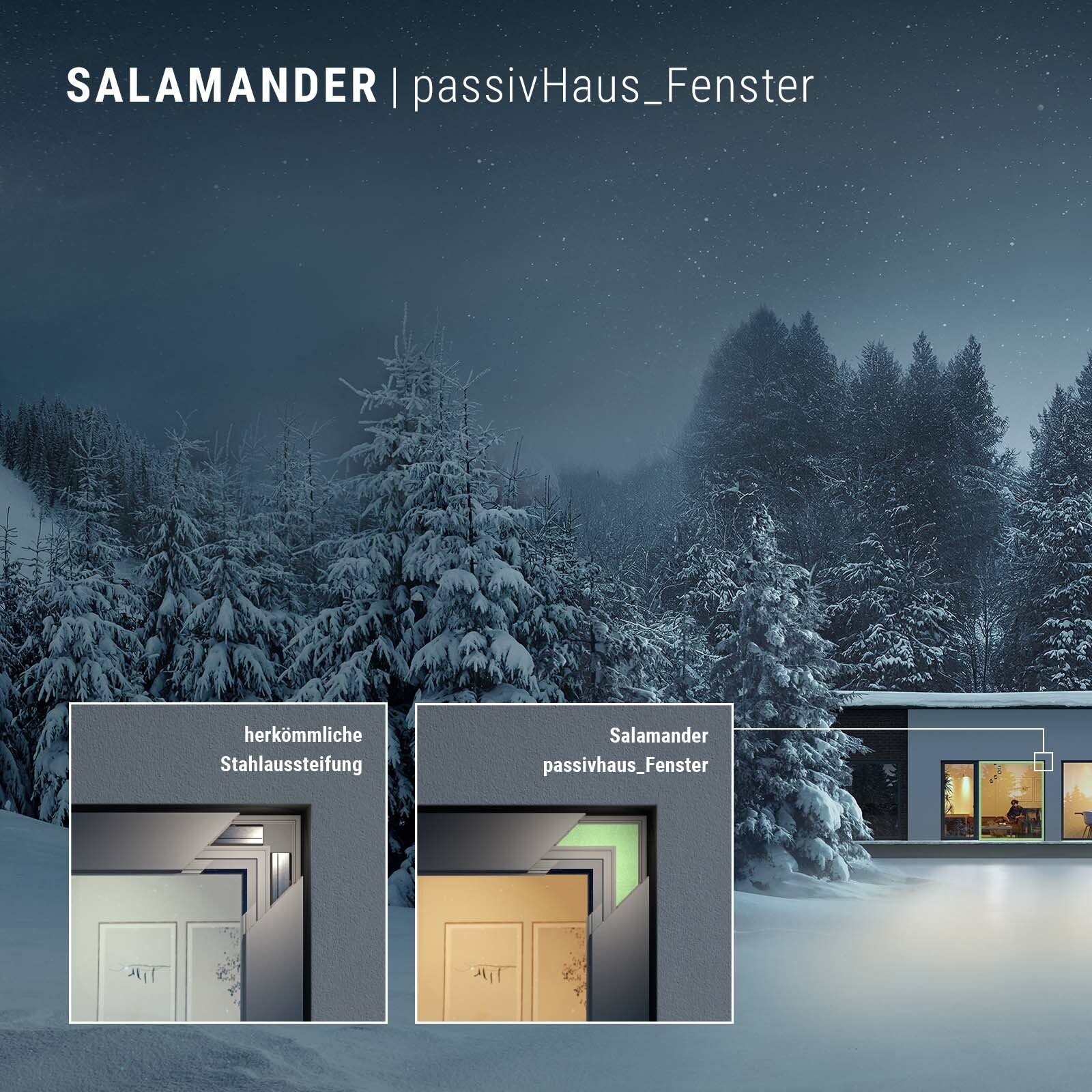 A snowy landscape with a house and trees, featuring two images of doors with the text "herkömmliche Stahlaussteifung" and "Salamander passivhaus_Fenster".