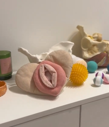 Fisioterapia Pélvica