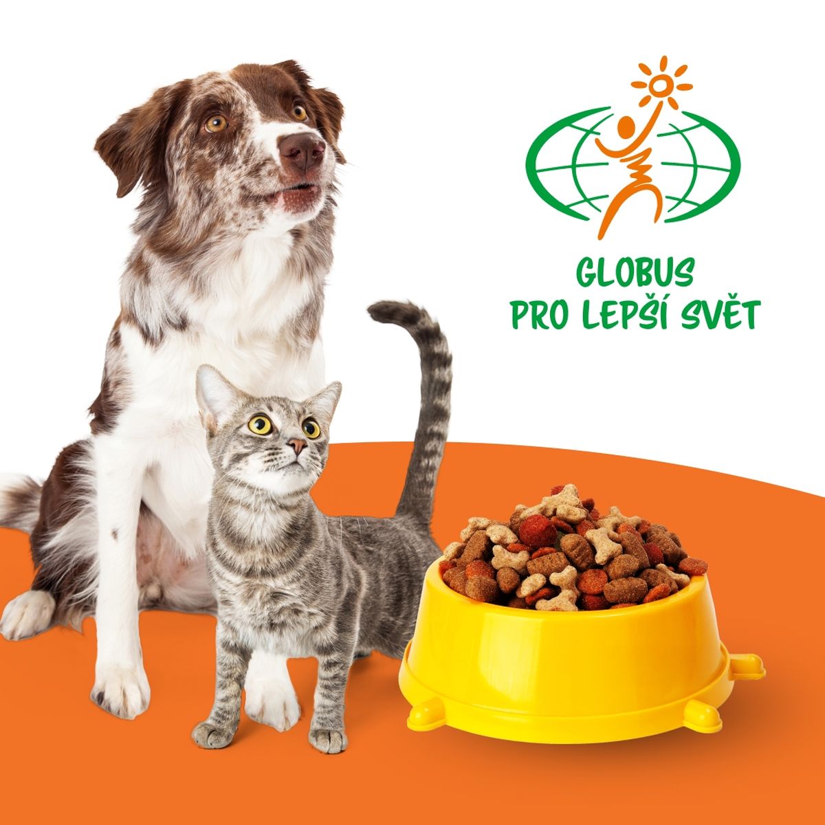Pes a kočka sedí u žluté misky naplněné krmivem pro domácí zvířata. V pozadí je logo s globusem a textem „Globus Pro Lepší Svět“.