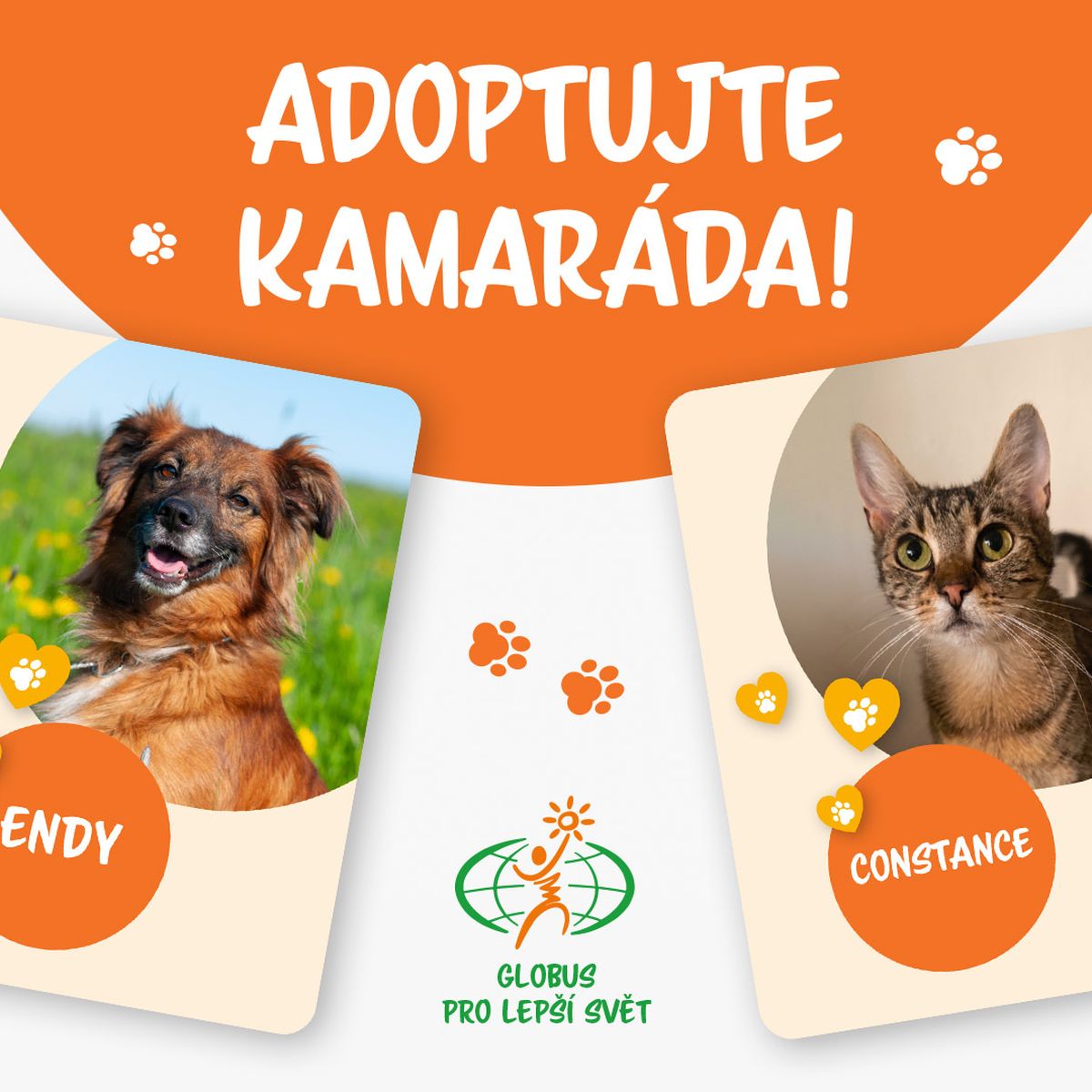 Obrázky psa jménem Endy a kočky jménem Constance s grafickými motivy tlapek a textem v češtině, který vybízí k adopci.