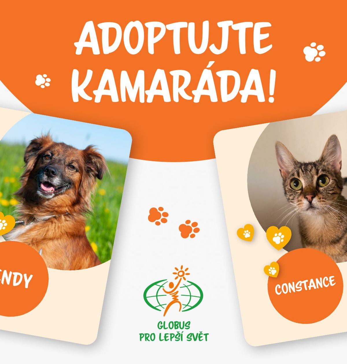 Obrázky psa jménem Endy a kočky jménem Constance s grafickými motivy tlapek a textem v češtině, který vybízí k adopci.