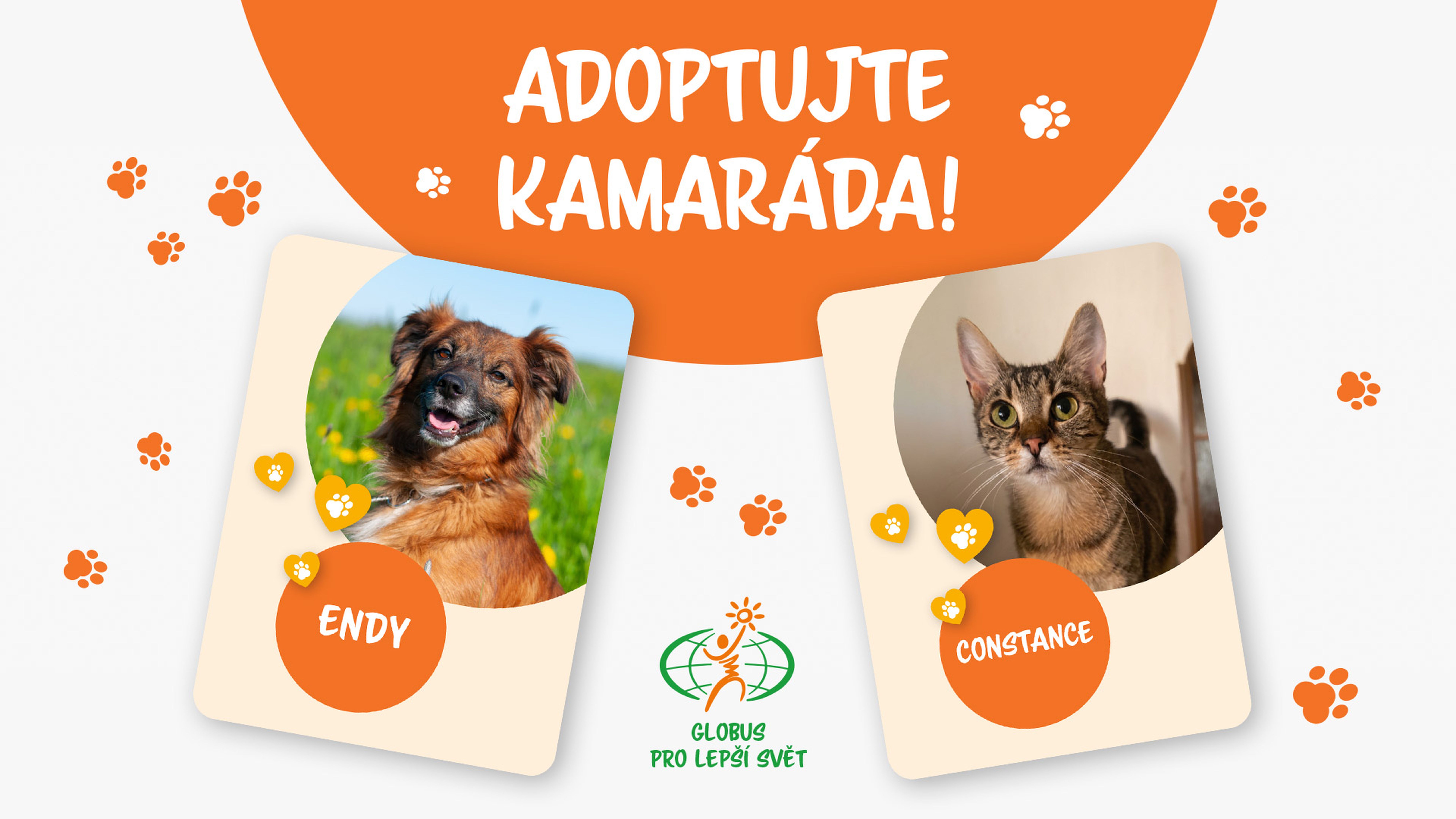 Obrázky psa jménem Endy a kočky jménem Constance s grafickými motivy tlapek a textem v češtině, který vybízí k adopci.