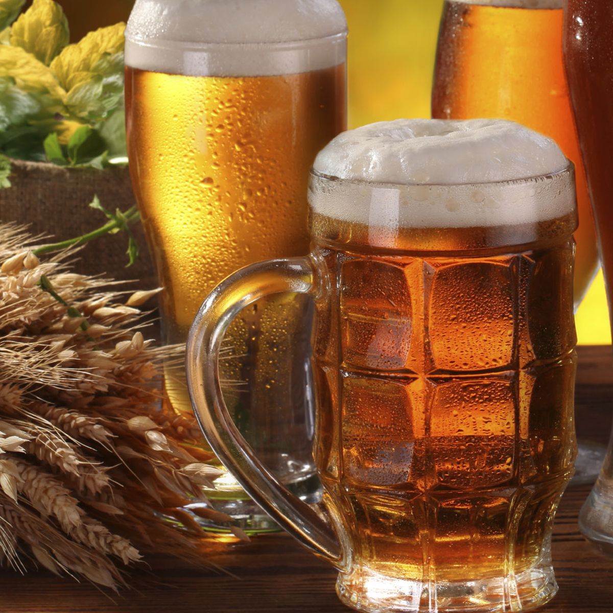 Různé pivní sklenice naplněné různými odstíny piva, obklopené chmelem a pšenicí na dřevěném stole.