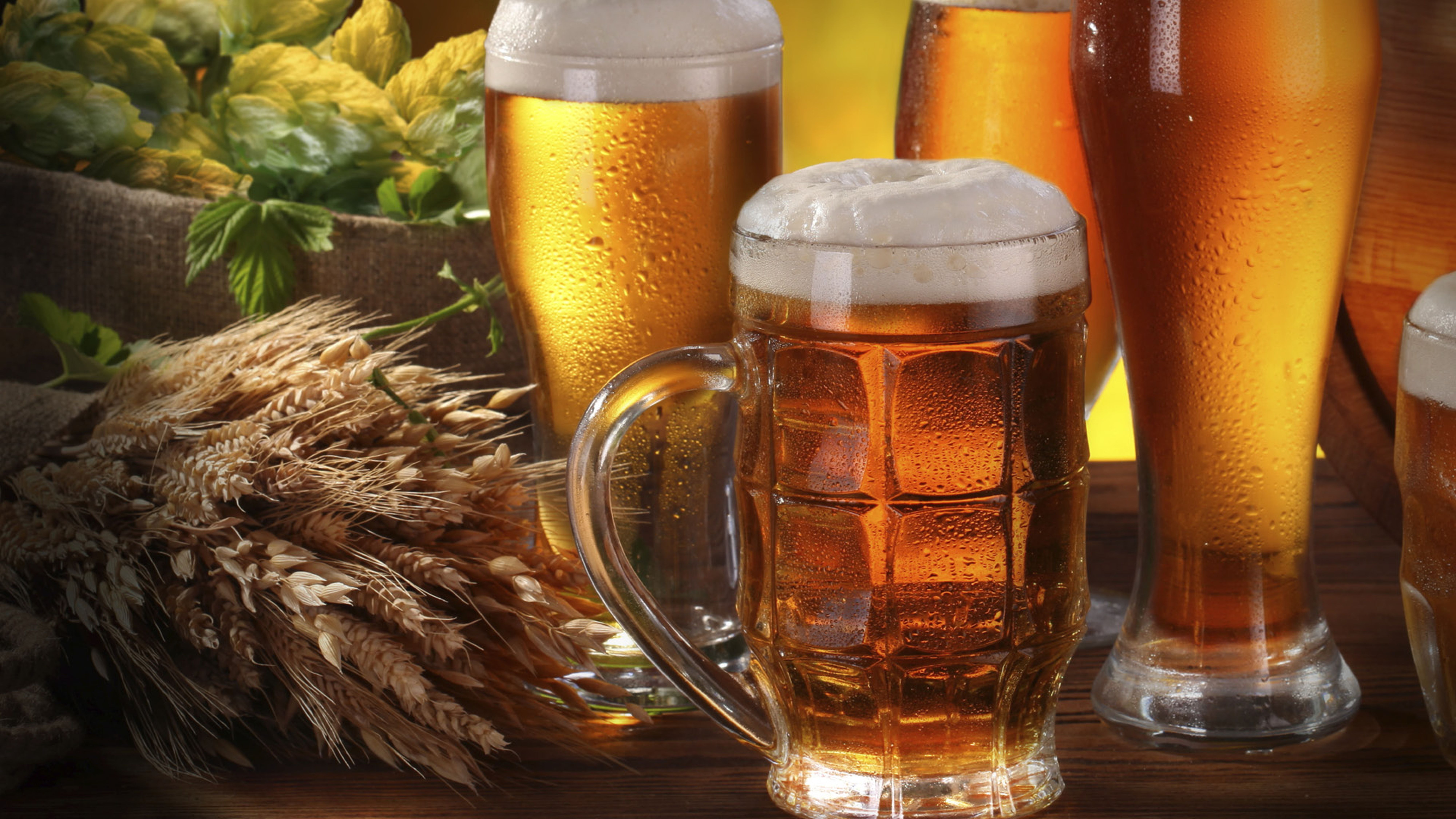 Různé pivní sklenice naplněné různými odstíny piva, obklopené chmelem a pšenicí na dřevěném stole.