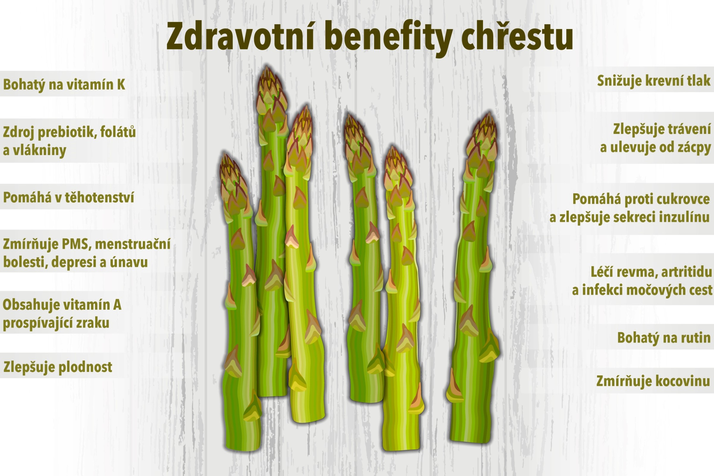 Ilustrace chřestu s českým textem popisujícím jeho zdravotní přínosy, včetně obsahu vitamínů, podpory těhotenství a snižování krevního tlaku.