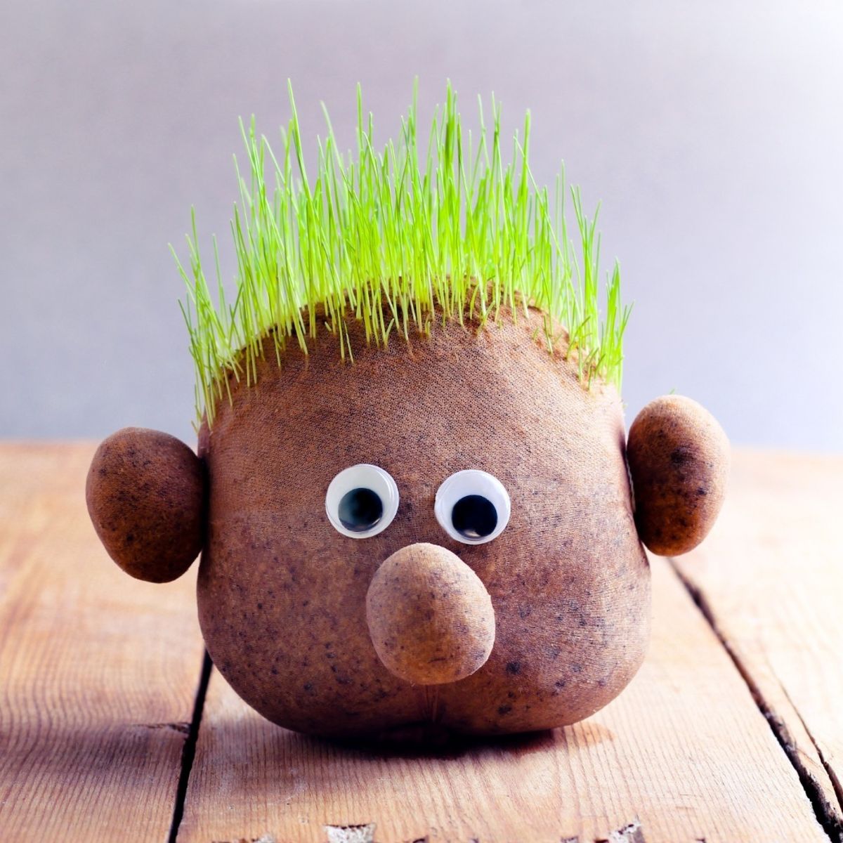 Hlavička vytvořená z punčochy a pilin s očima, nosem, ušima a rašícími vlásky ze zelené trávy, sedící na dřevěném povrchu.