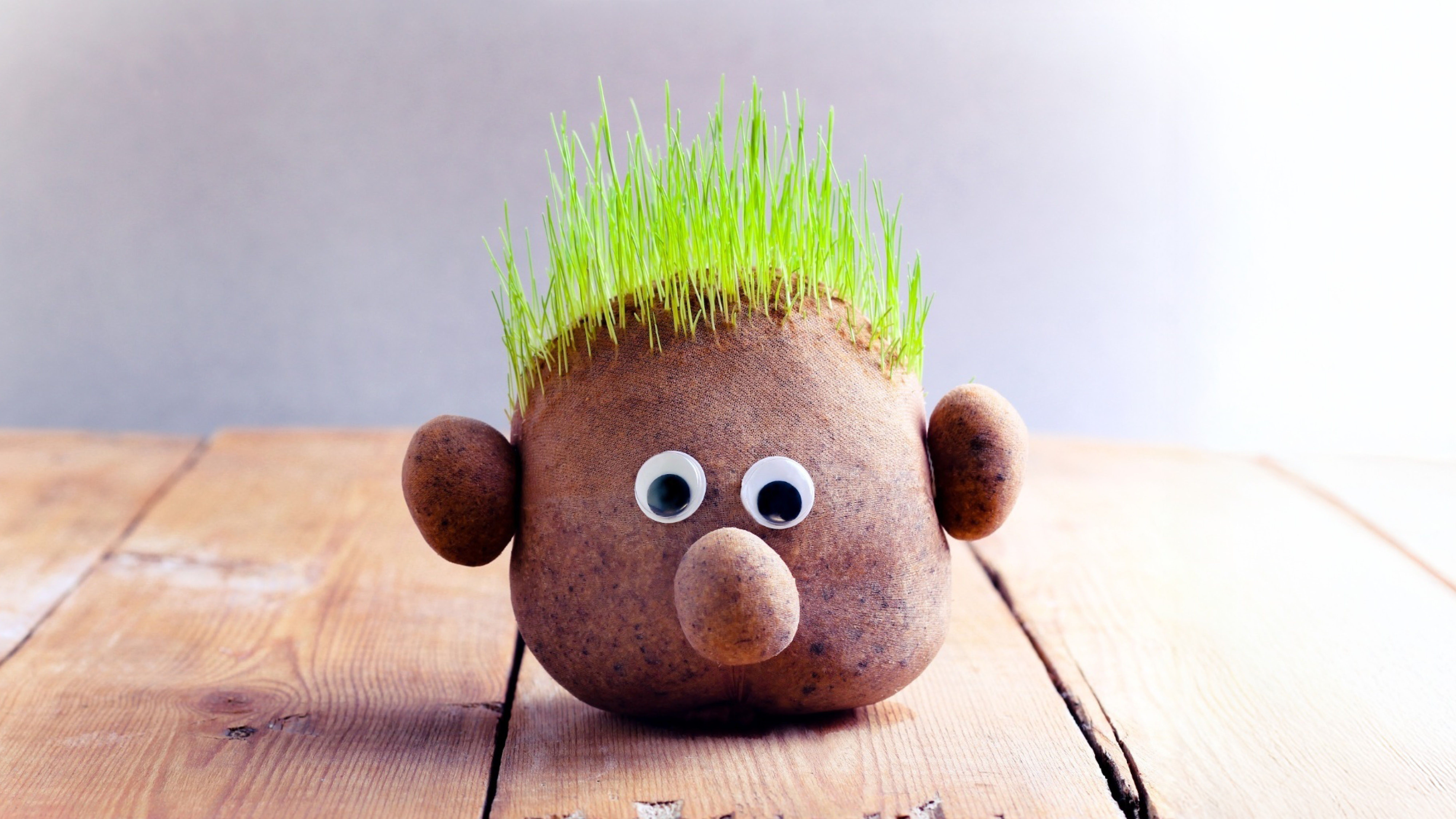 Hlavička vytvořená z punčochy a pilin s očima, nosem, ušima a rašícími vlásky ze zelené trávy, sedící na dřevěném povrchu.