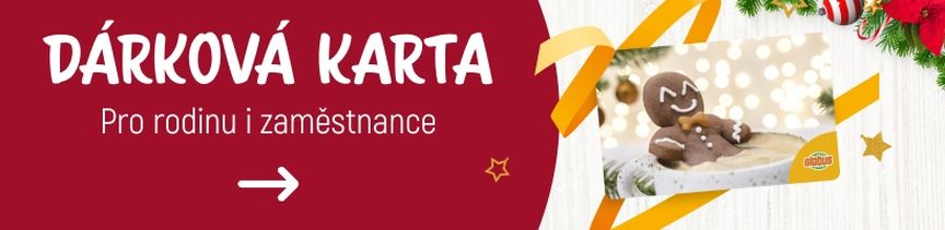 Slavnostní banner s dárkovou kartou, na kterém je perníkový panáček, vánoční ozdoby a text v češtině propagující dárky pro rodinu a zaměstnance.