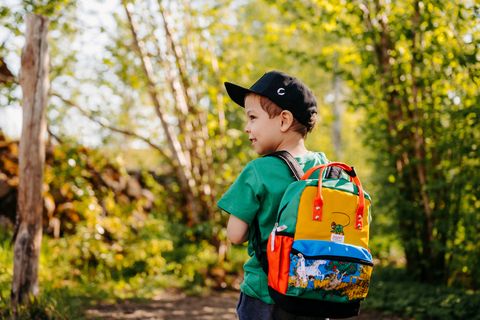 Alles für den Start ins neue Schuljahr - 15 %