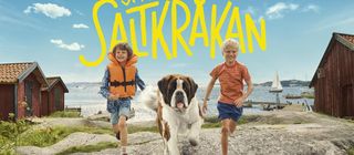 Vi på Saltkråkan key art