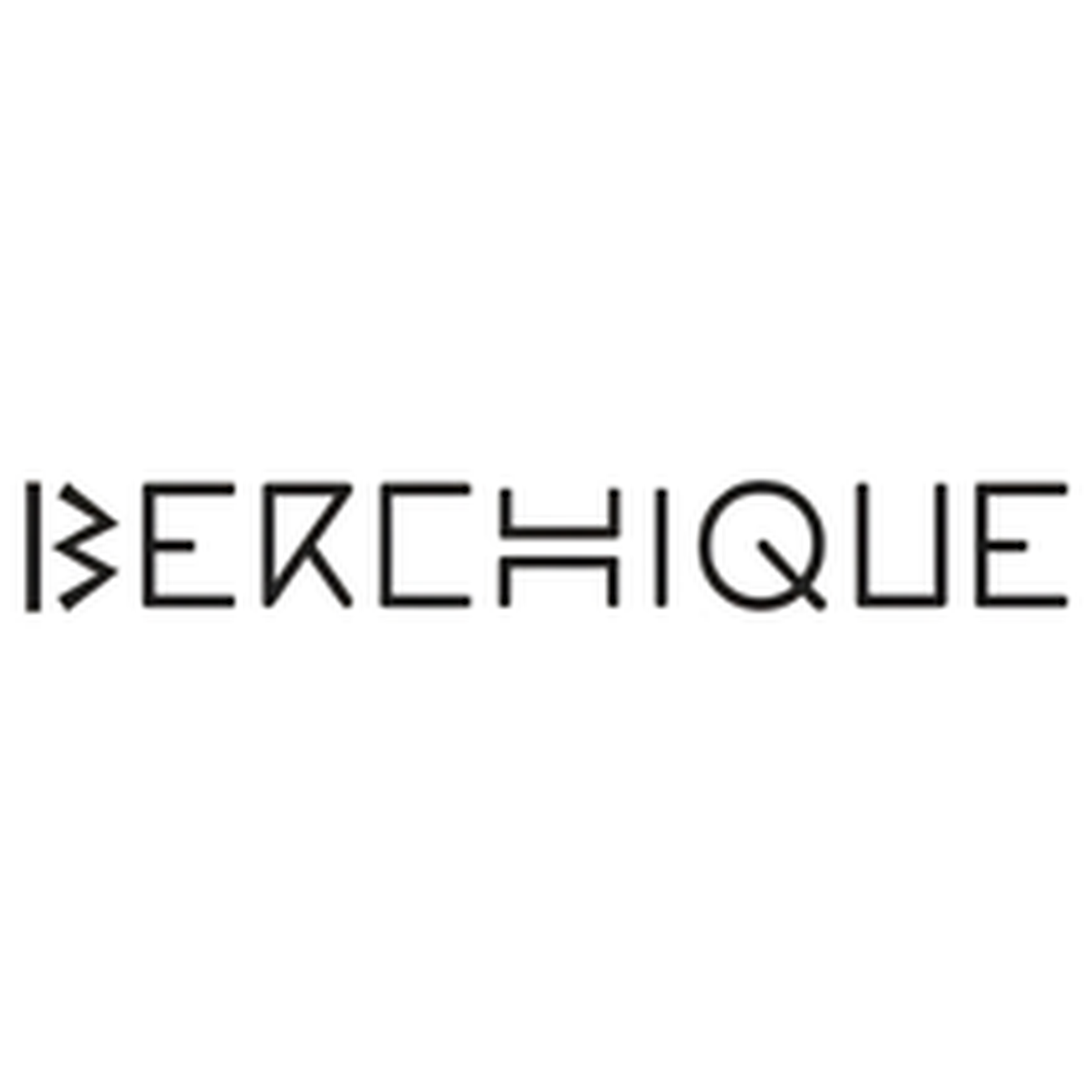 logo of North South Berchique