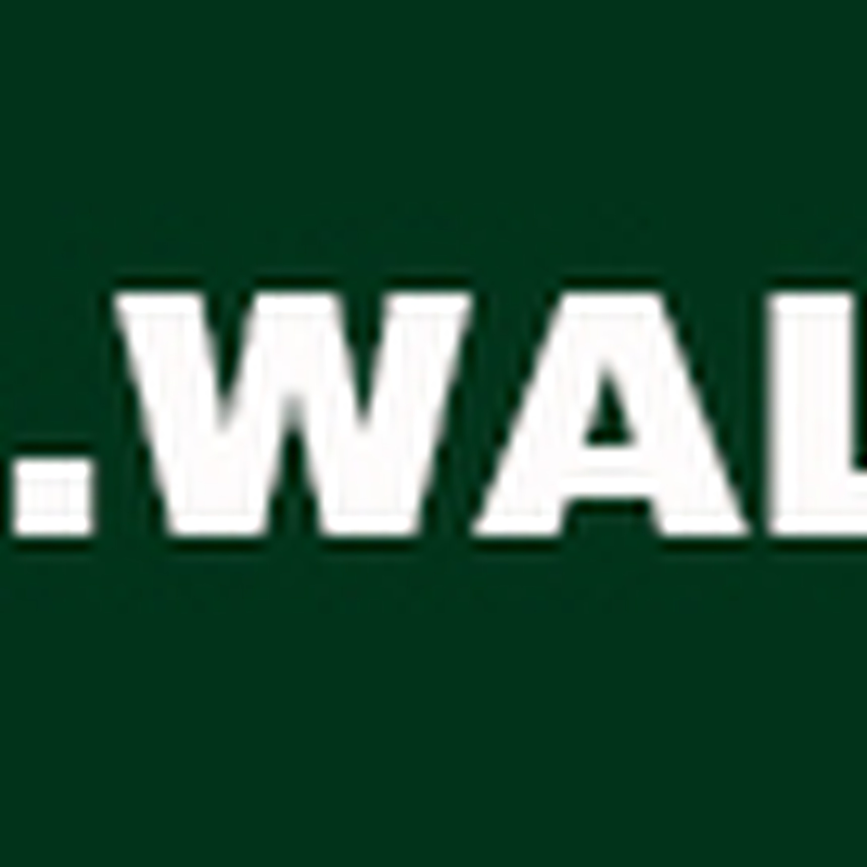 logo of Kong.Walther