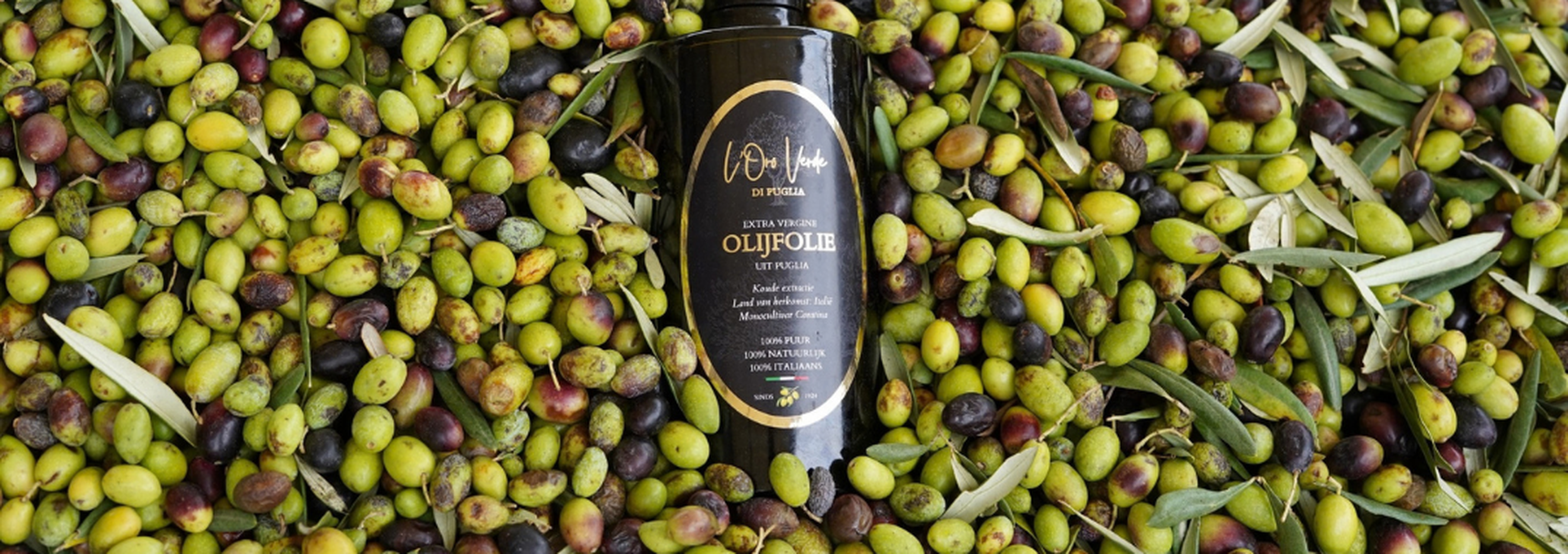 L'Oro verde di puglia