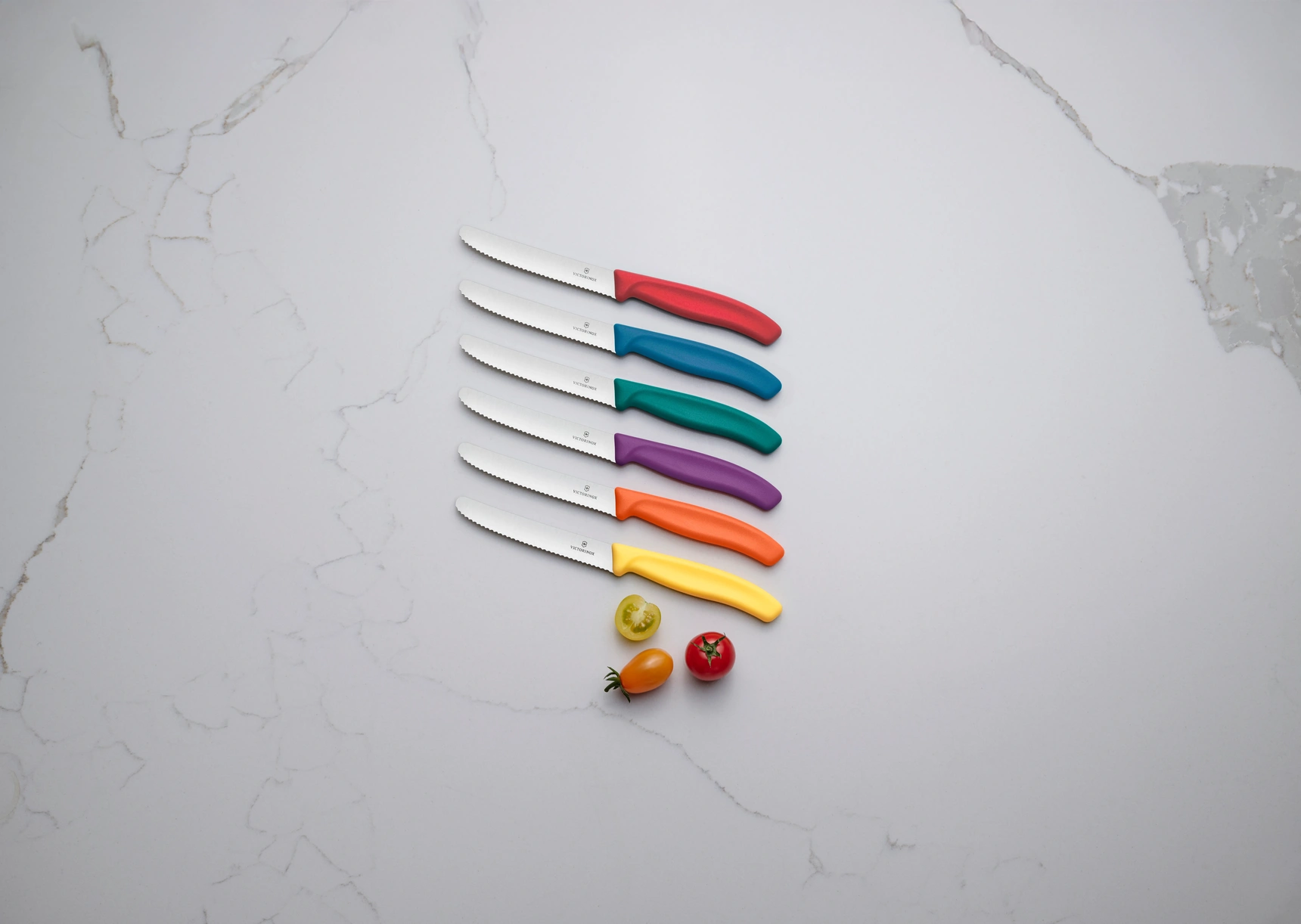 VICTORINOX