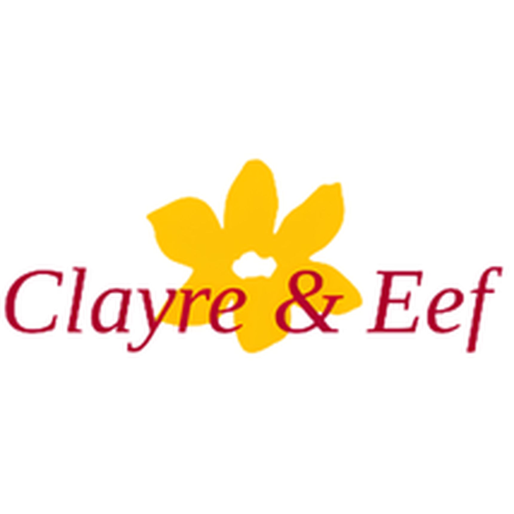logo of Clayre & Eef