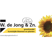 W. de Jong & Zn.