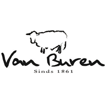Van Buren Bolsward