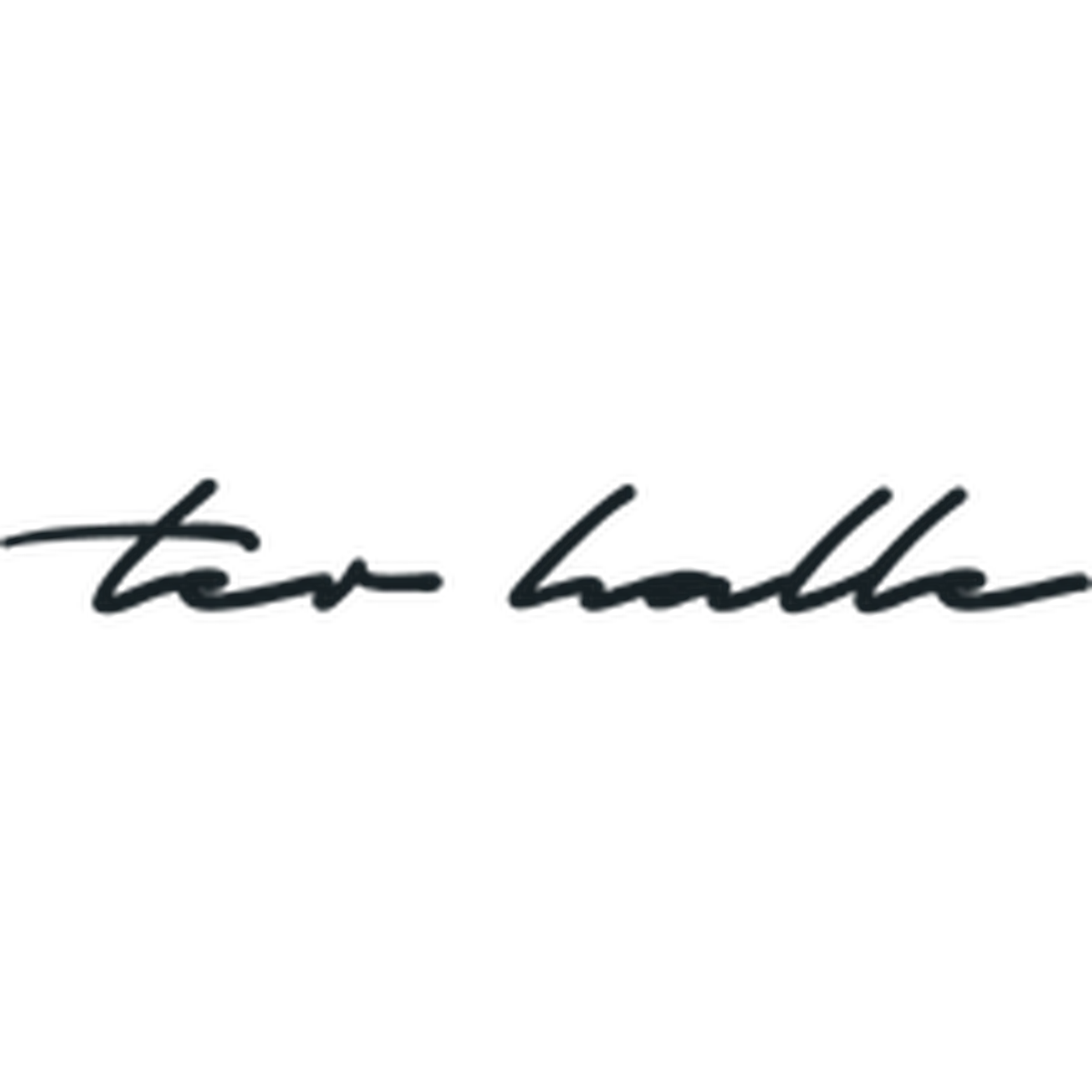logo of Ter Halle