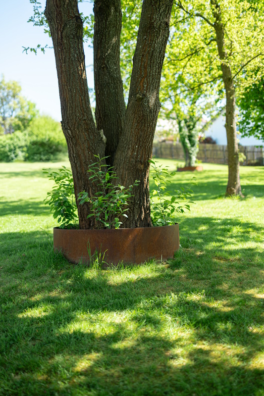 Baumring aus Cortenstahl