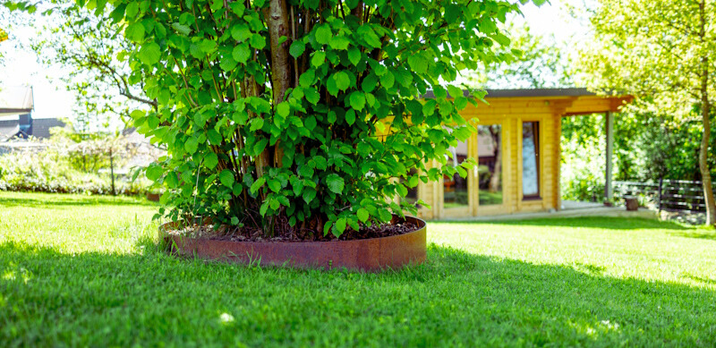 Baumring aus Cortenstahl im Garten