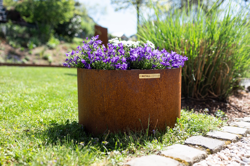 Pflanzring aus Cortenstahl mit Blumen