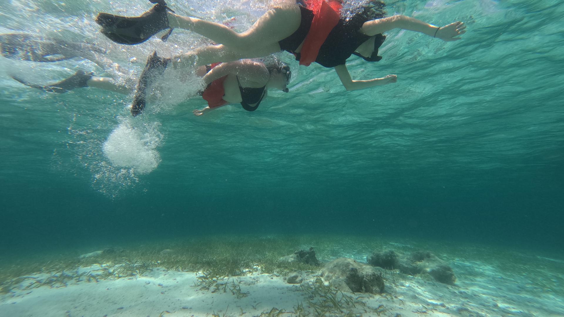 Conservation from Reef to Ridge: An Experiential Learning Excursion in Belize 