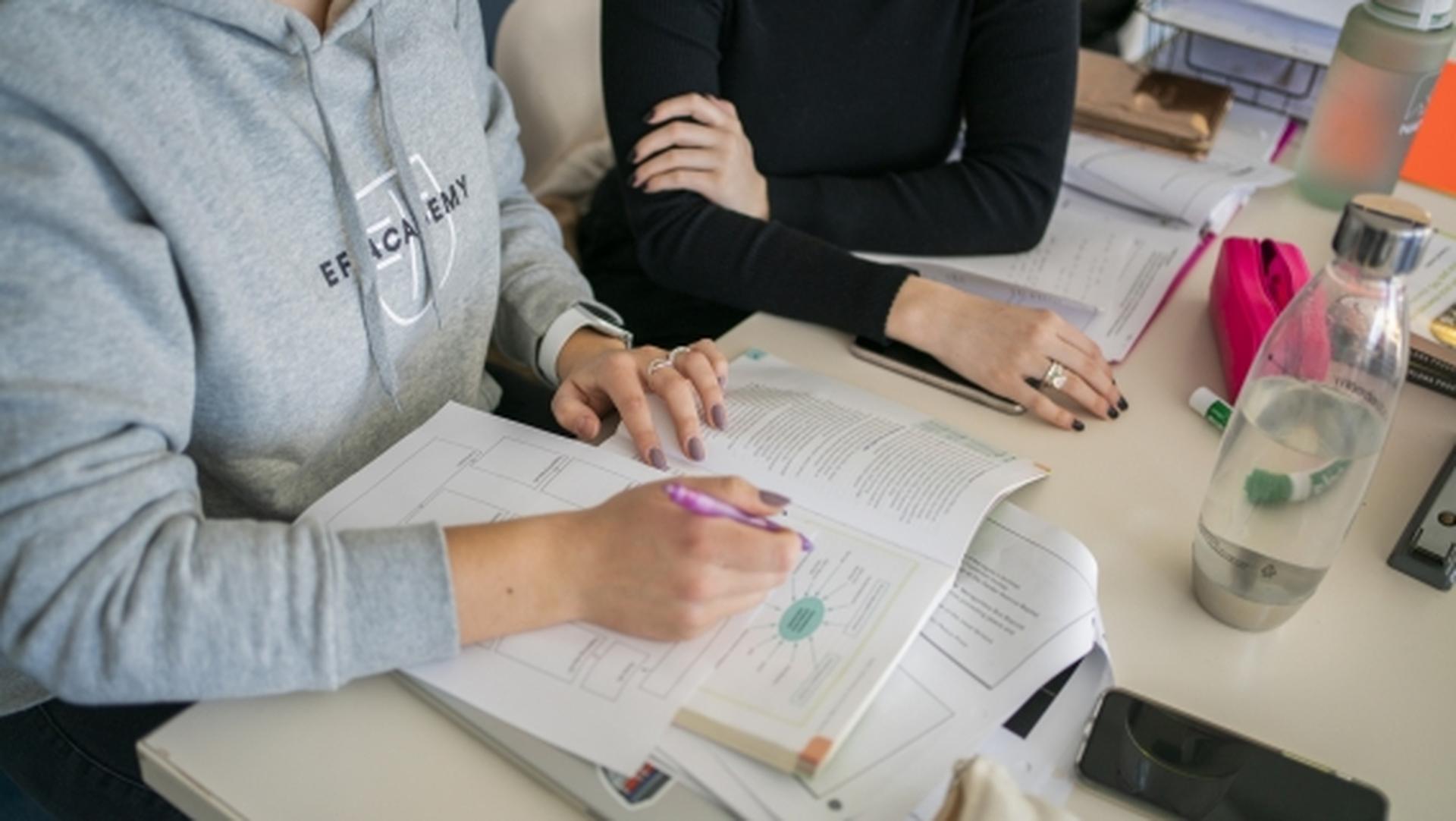 What are Advanced Placement (AP) courses?