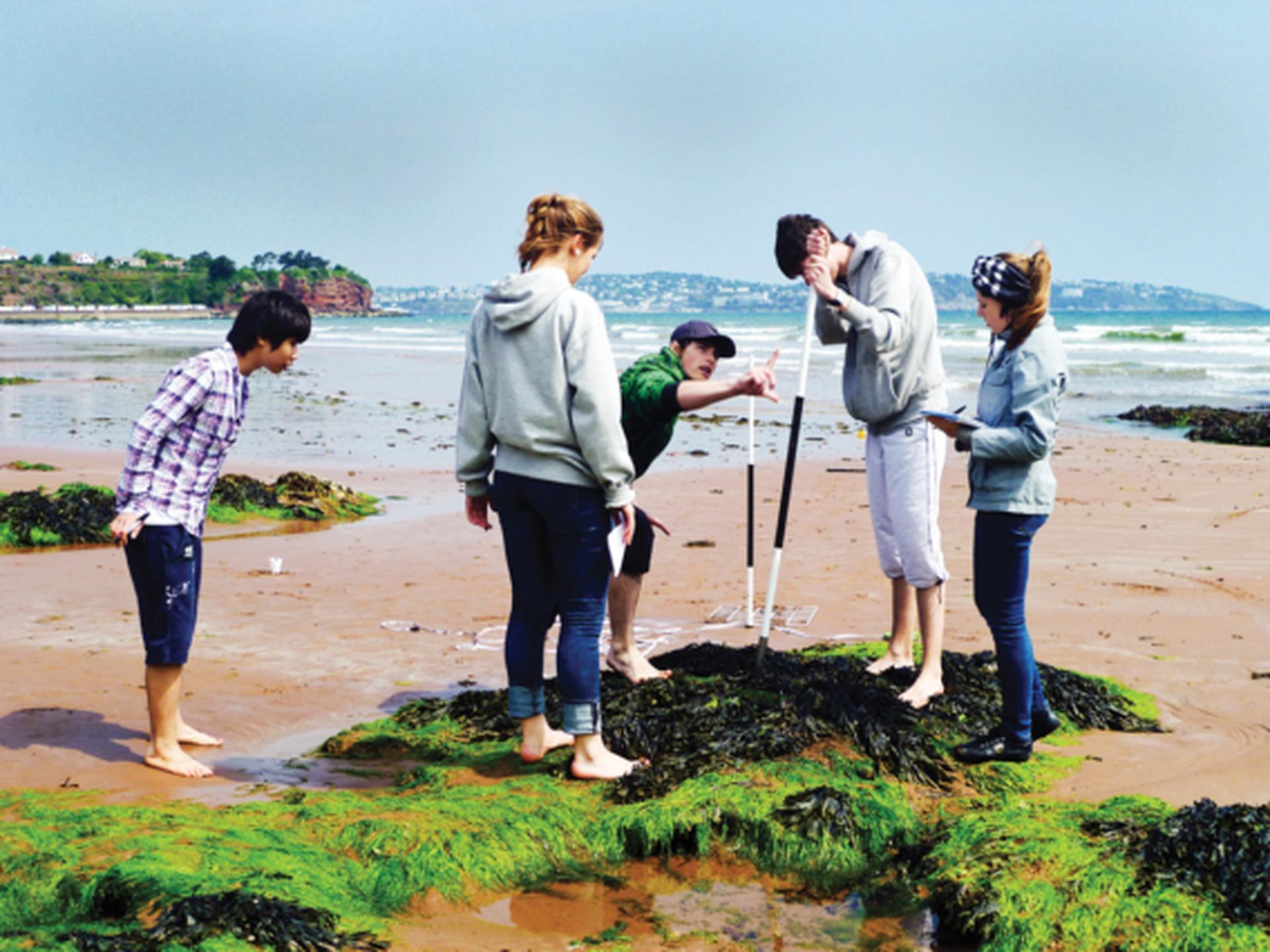 Creatividad, actividad y servicio: Formando a los estudiantes fuera del aula