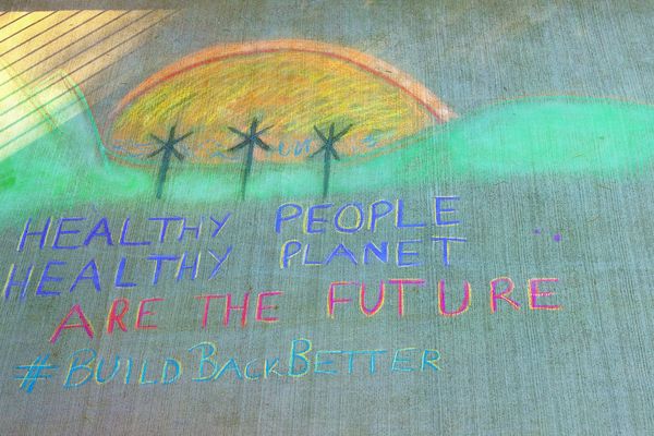 Chalk drawing with a sun, trees, and text saying, "Healthy people, healthy planet are the future. #BuildBackBetter."