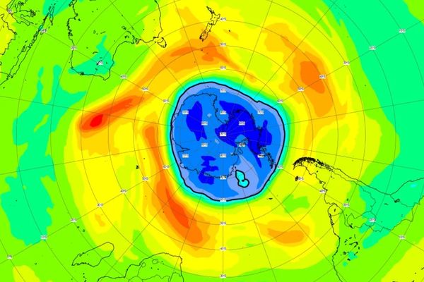 Copernicus CAMS ozon
