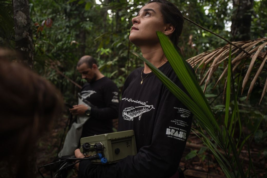 Two researchers in dark shirts work in a lush forest, holding equipment and observing the surroundings intently.