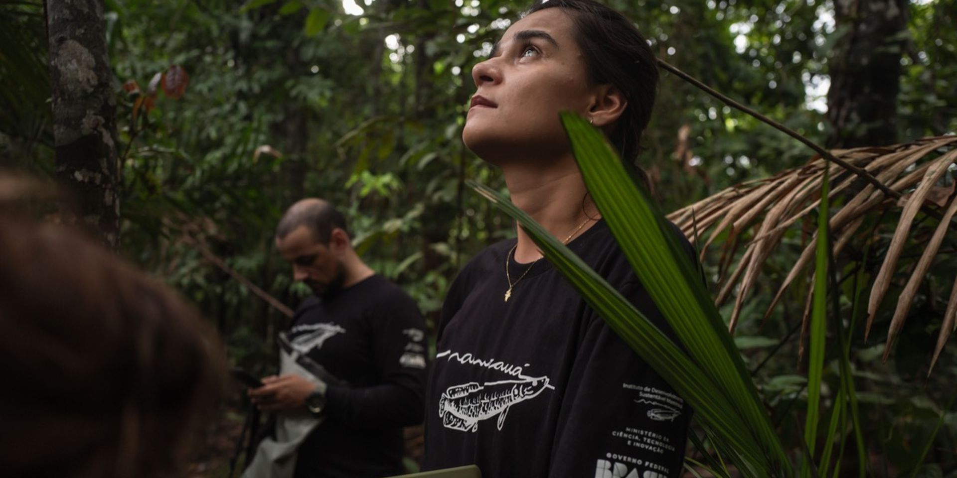 Two researchers in dark shirts work in a lush forest, holding equipment and observing the surroundings intently.