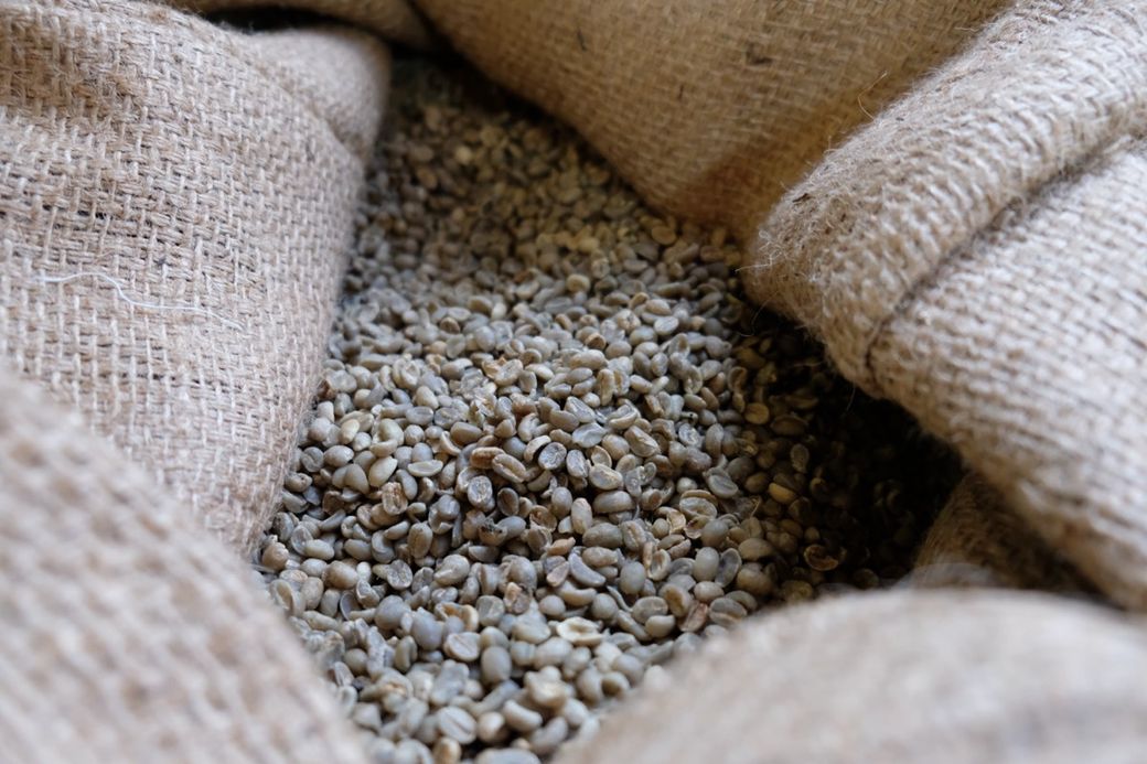 A burlap sack filled with raw coffee beans, showcasing a close-up of their texture and natural color.